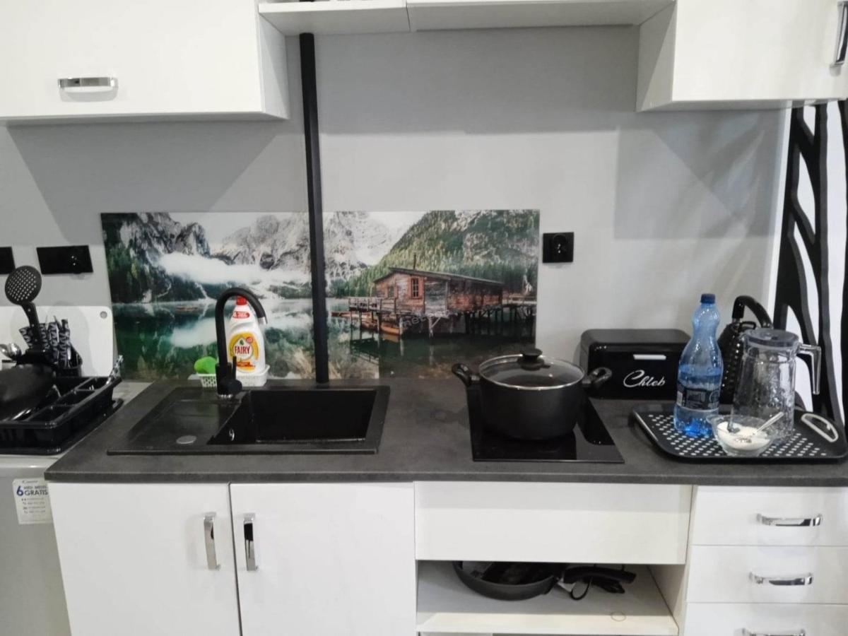 Komfortowy Apartament U Baltazara Appartement Duszniki Zdrój Buitenkant foto